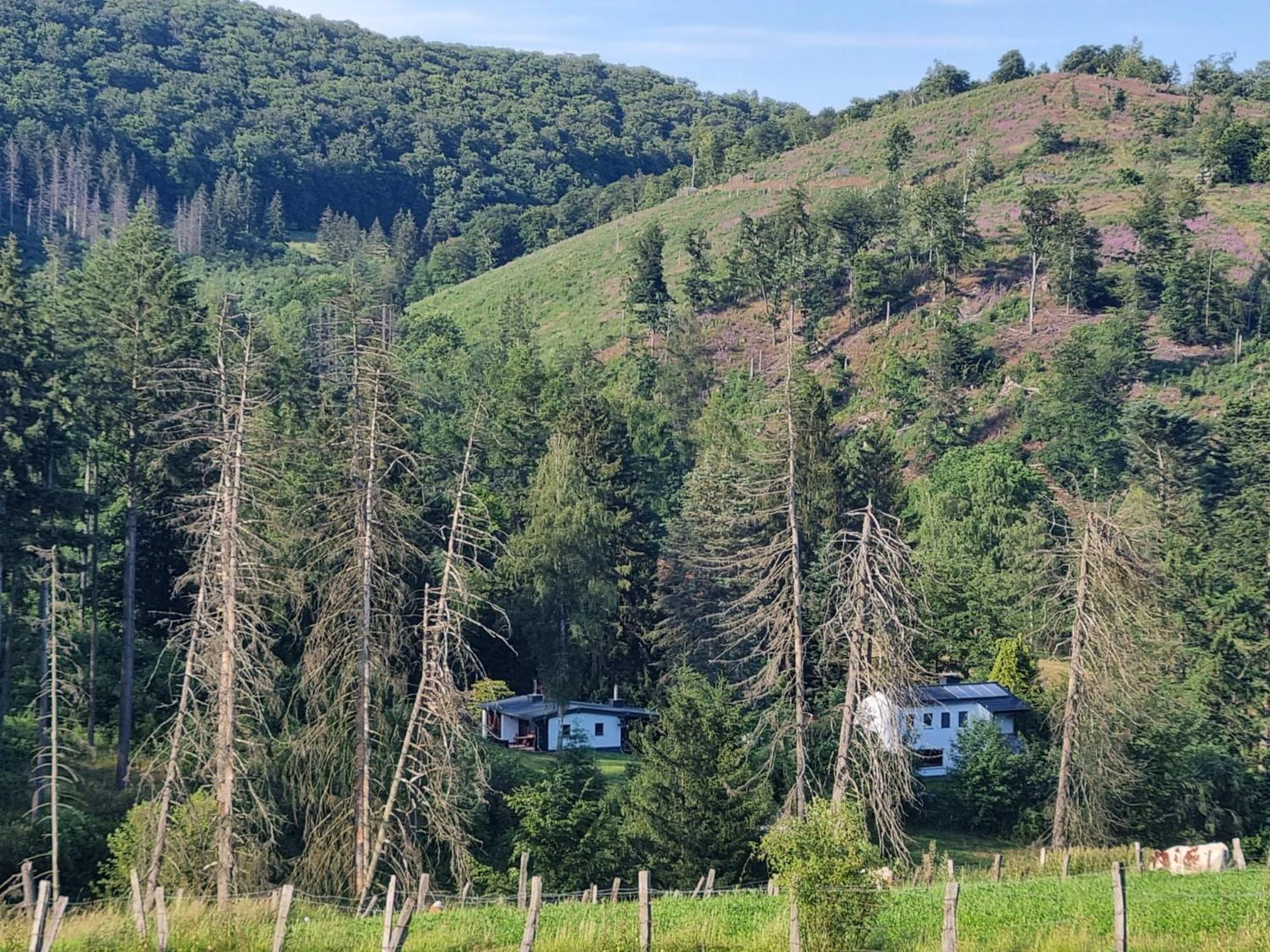 Explorer'S Lodge & Camping Helminghausen Kültér fotó