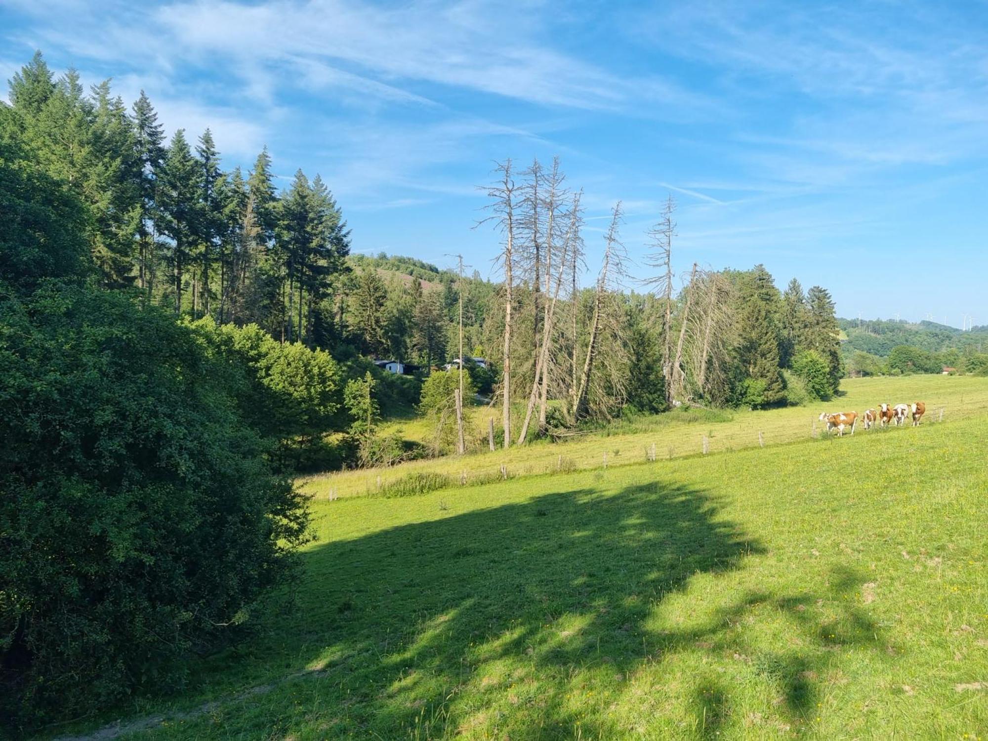 Explorer'S Lodge & Camping Helminghausen Kültér fotó